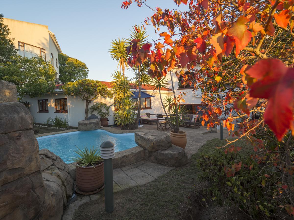 Blue Oyster Bed And Breakfast Knysna Exteriér fotografie